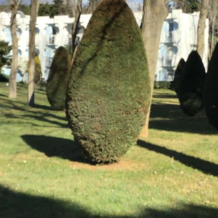 Ferienwohnung T3 Les Peupliers Proche Pasino Et Mer La Grande-Motte Exterior foto