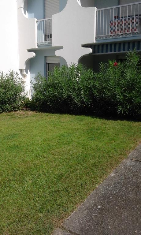 Ferienwohnung T3 Les Peupliers Proche Pasino Et Mer La Grande-Motte Exterior foto